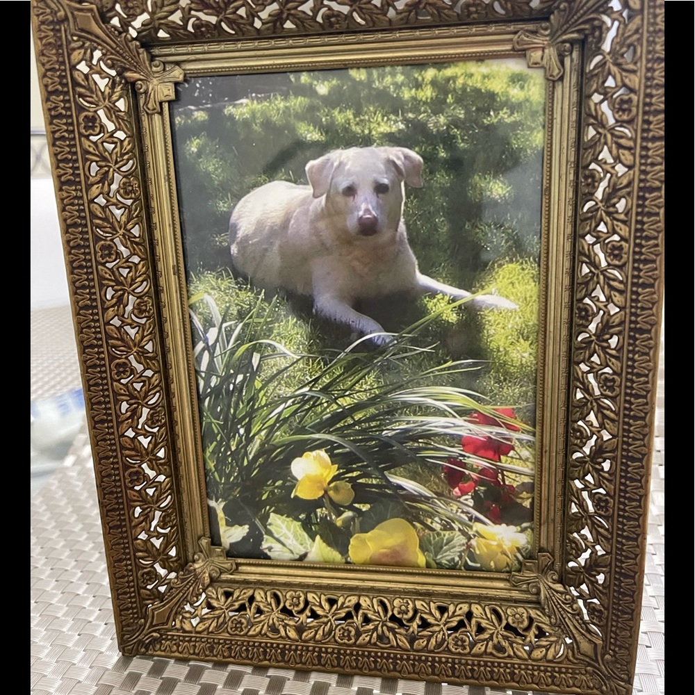 Vintage Filigree Gold Tonef Frame